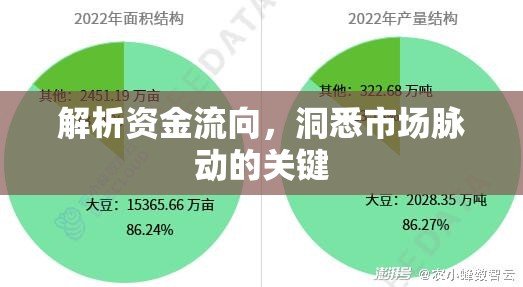 解析資金流向，洞悉市場(chǎng)脈動(dòng)的關(guān)鍵