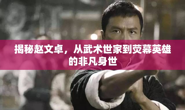 揭秘趙文卓，從武術(shù)世家到熒幕英雄的非凡身世