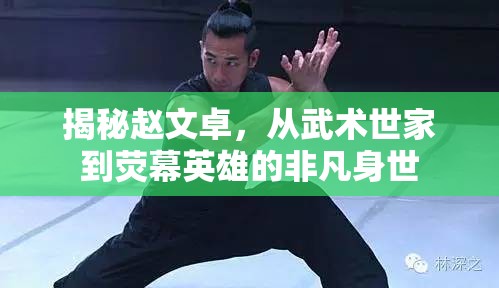 揭秘趙文卓，從武術(shù)世家到熒幕英雄的非凡身世