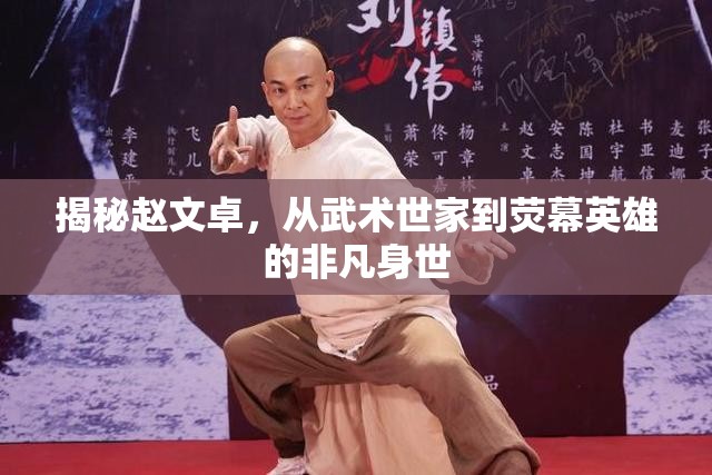 揭秘趙文卓，從武術(shù)世家到熒幕英雄的非凡身世