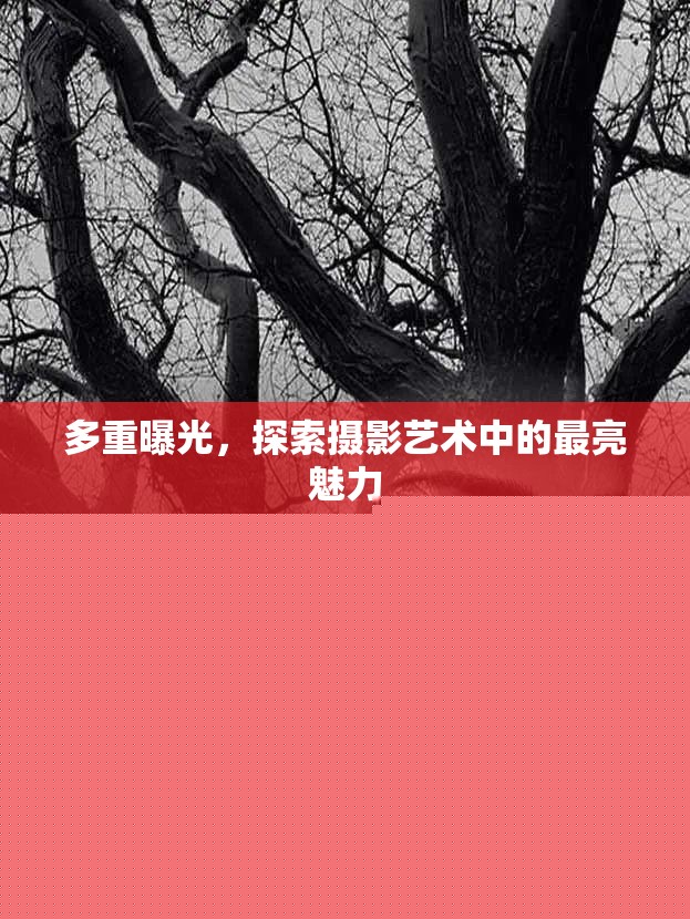 多重曝光，探索攝影藝術中的最亮魅力