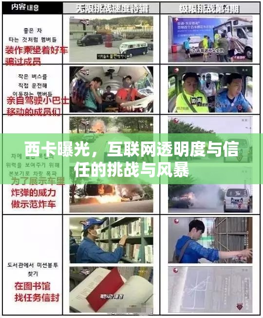 西卡曝光，互聯(lián)網(wǎng)透明度與信任的挑戰(zhàn)與風(fēng)暴