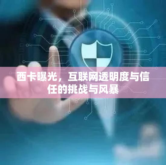 西卡曝光，互聯(lián)網(wǎng)透明度與信任的挑戰(zhàn)與風(fēng)暴