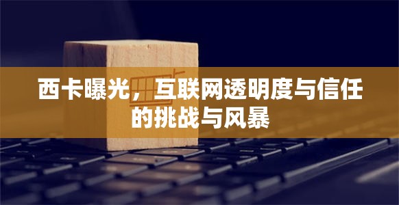 西卡曝光，互聯(lián)網(wǎng)透明度與信任的挑戰(zhàn)與風(fēng)暴