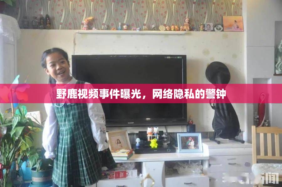 野鹿視頻事件曝光，網(wǎng)絡隱私的警鐘