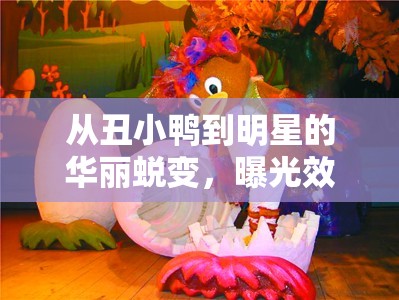 從丑小鴨到明星的華麗蛻變，曝光效應(yīng)的奇妙旅程