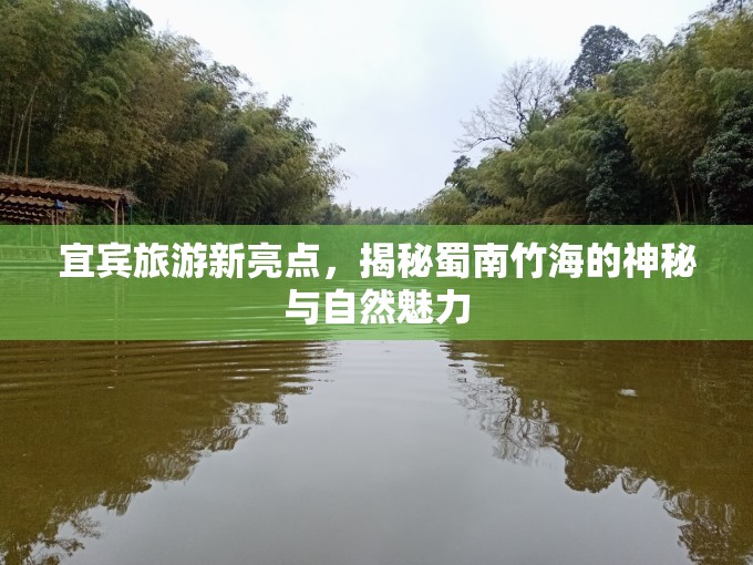 宜賓旅游新亮點，揭秘蜀南竹海的神秘與自然魅力