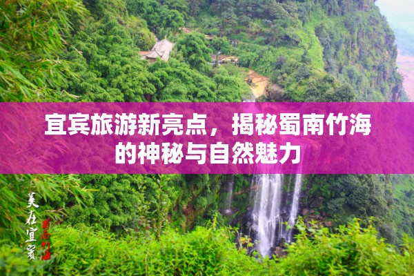 宜賓旅游新亮點，揭秘蜀南竹海的神秘與自然魅力
