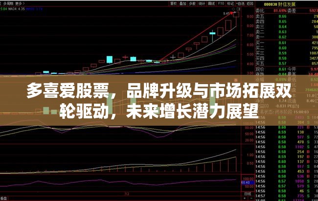 多喜愛股票，品牌升級與市場拓展雙輪驅(qū)動，未來增長潛力展望