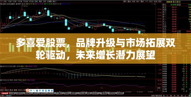 多喜愛股票，品牌升級與市場拓展雙輪驅(qū)動，未來增長潛力展望