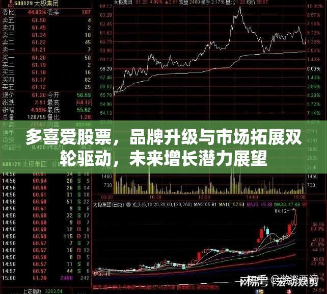 多喜愛股票，品牌升級與市場拓展雙輪驅(qū)動，未來增長潛力展望
