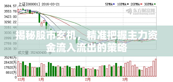揭秘股市玄機(jī)，精準(zhǔn)把握主力資金流入流出的策略