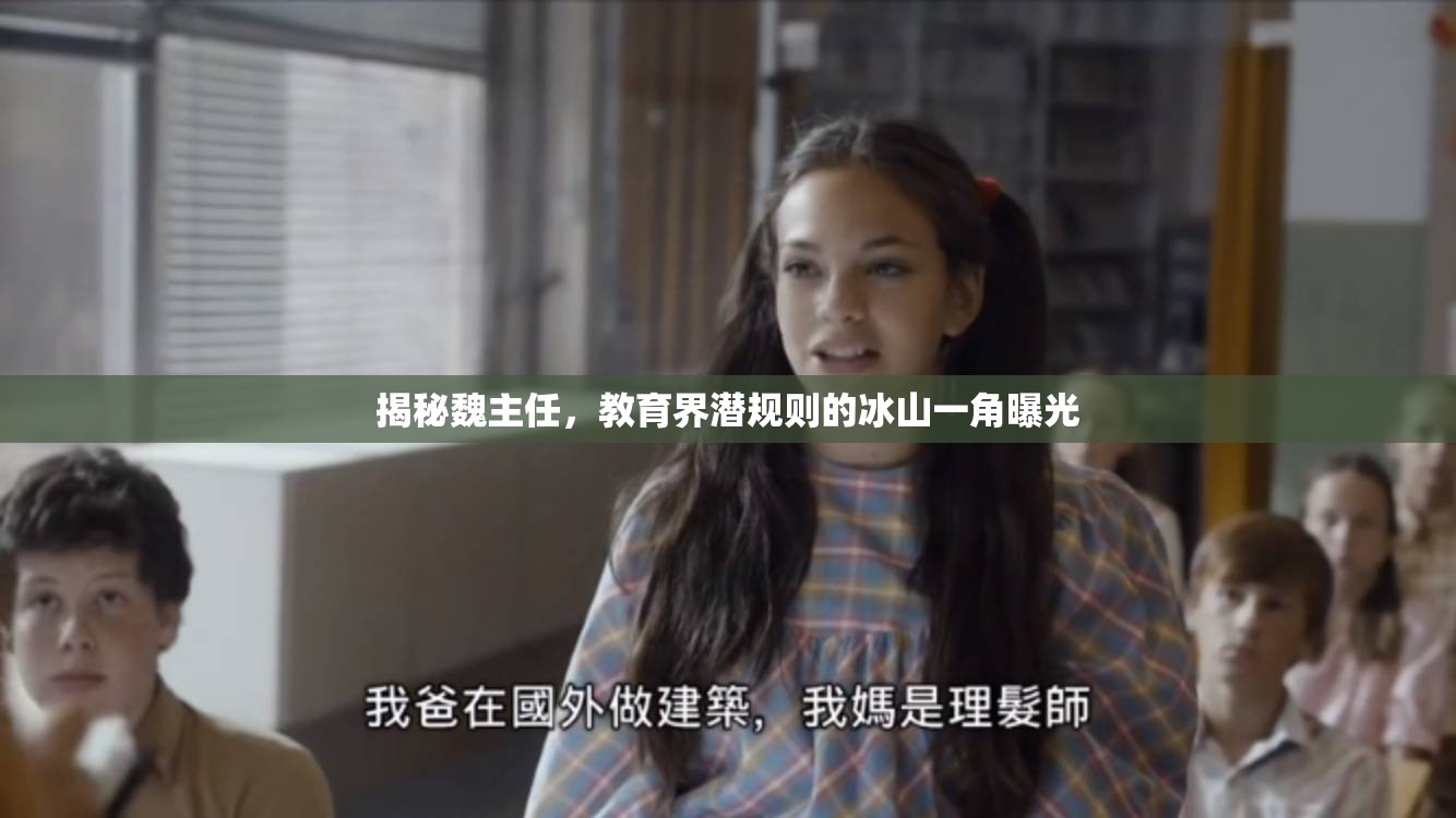 揭秘魏主任，教育界潛規(guī)則的冰山一角曝光