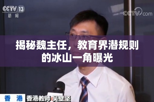 揭秘魏主任，教育界潛規(guī)則的冰山一角曝光