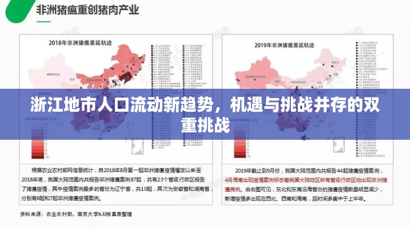 浙江地市人口流動新趨勢，機遇與挑戰(zhàn)并存的雙重挑戰(zhàn)