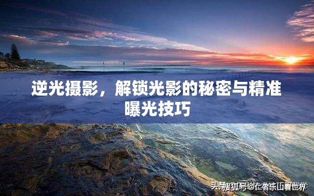 逆光攝影，解鎖光影的秘密與精準曝光技巧