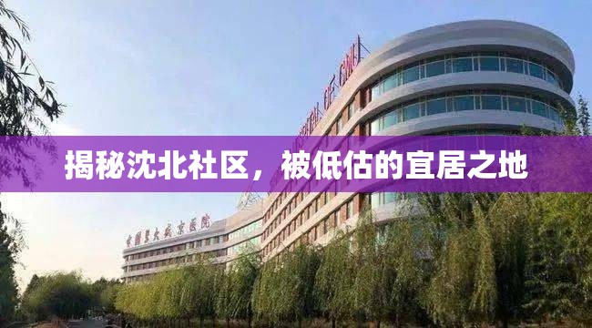 揭秘沈北社區(qū)，被低估的宜居之地