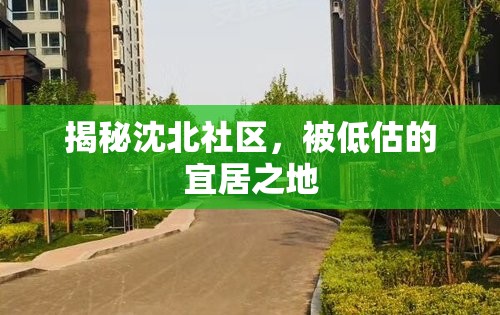 揭秘沈北社區(qū)，被低估的宜居之地