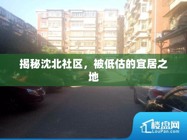 揭秘沈北社區(qū)，被低估的宜居之地