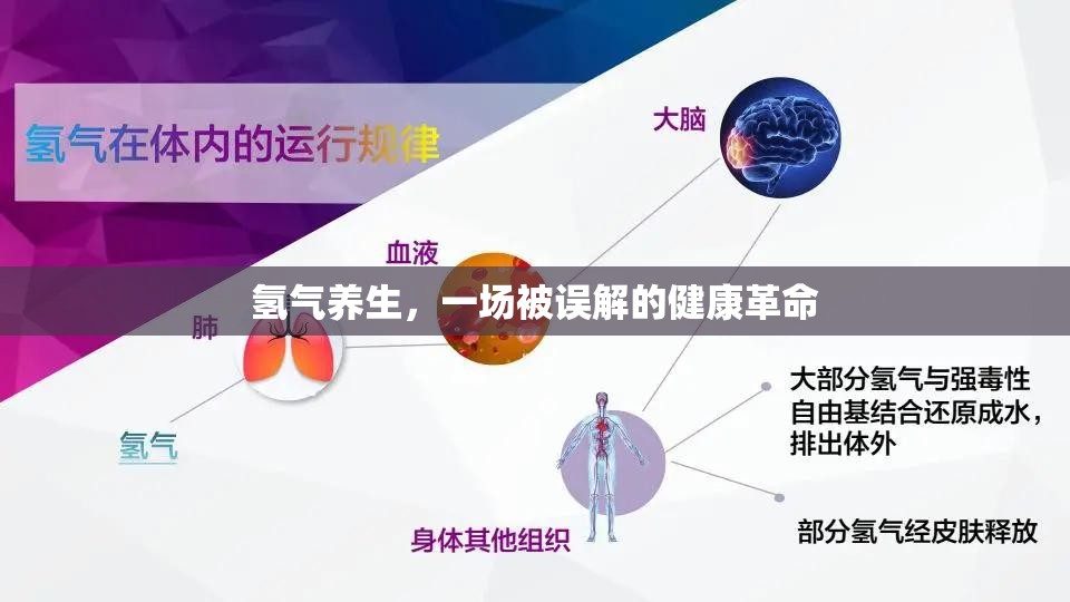 氫氣養(yǎng)生，一場被誤解的健康革命