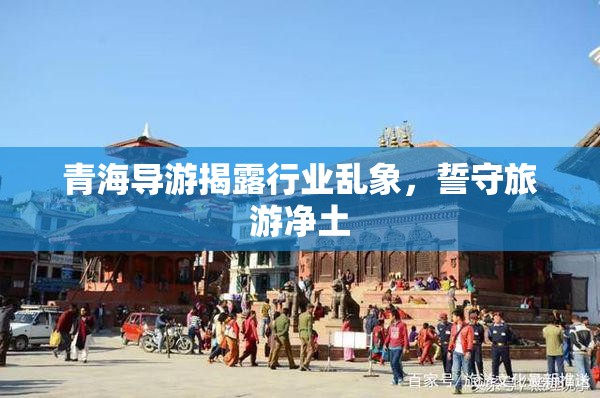 青海導(dǎo)游揭露行業(yè)亂象，誓守旅游凈土