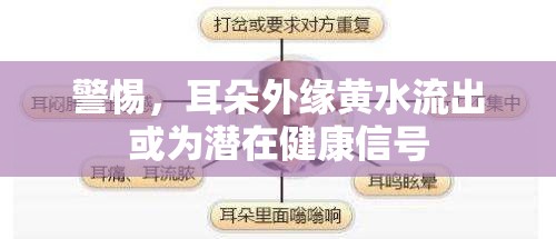 警惕，耳朵外緣黃水流出或?yàn)闈撛诮】敌盘? class=