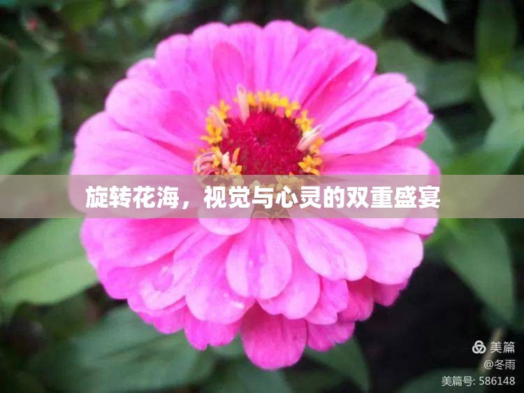 旋轉(zhuǎn)花海，視覺(jué)與心靈的雙重盛宴