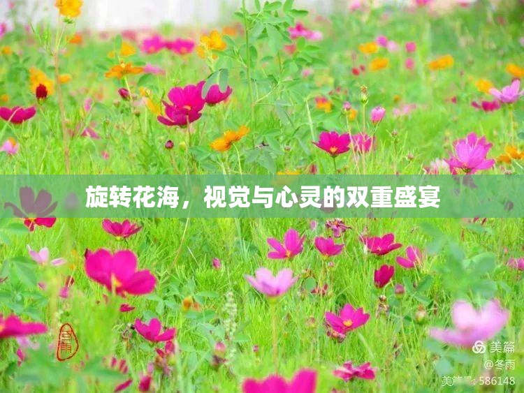 旋轉(zhuǎn)花海，視覺(jué)與心靈的雙重盛宴