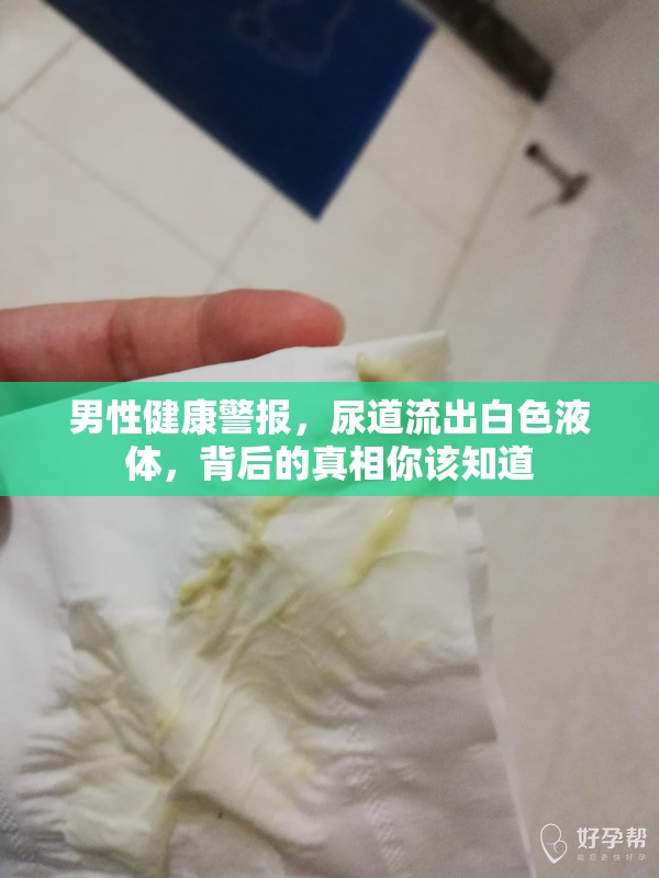 男性健康警報，尿道流出白色液體，背后的真相你該知道