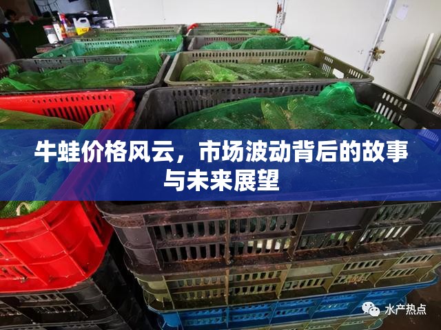 牛蛙價(jià)格風(fēng)云，市場波動(dòng)背后的故事與未來展望