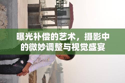 曝光補償?shù)乃囆g(shù)，攝影中的微妙調(diào)整與視覺盛宴