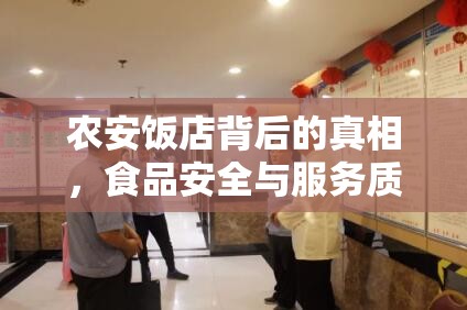 農(nóng)安飯店背后的真相，食品安全與服務(wù)質(zhì)量之謎