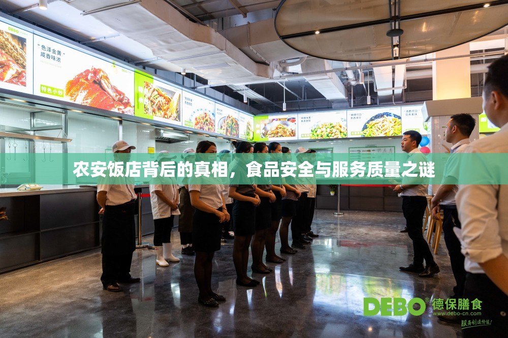 農(nóng)安飯店背后的真相，食品安全與服務(wù)質(zhì)量之謎