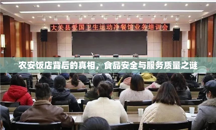 農(nóng)安飯店背后的真相，食品安全與服務(wù)質(zhì)量之謎
