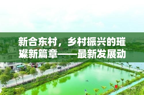 新合東村，鄉(xiāng)村振興的璀璨新篇章——最新發(fā)展動(dòng)態(tài)與未來(lái)展望