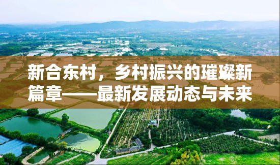 新合東村，鄉(xiāng)村振興的璀璨新篇章——最新發(fā)展動(dòng)態(tài)與未來(lái)展望