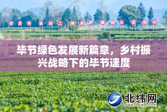 畢節(jié)綠色發(fā)展新篇章，鄉(xiāng)村振興戰(zhàn)略下的畢節(jié)速度