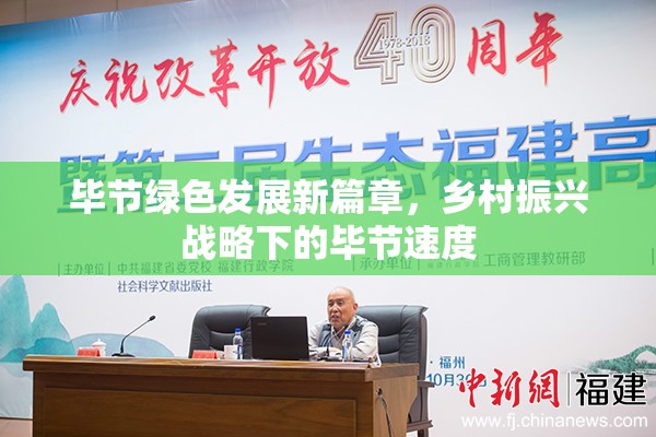 畢節(jié)綠色發(fā)展新篇章，鄉(xiāng)村振興戰(zhàn)略下的畢節(jié)速度