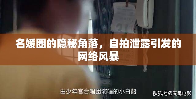 名媛圈的隱秘角落，自拍泄露引發(fā)的網(wǎng)絡(luò)風(fēng)暴
