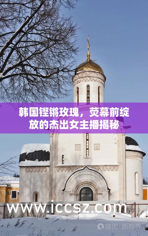 韓國(guó)鏗鏘玫瑰，熒幕前綻放的杰出女主播揭秘