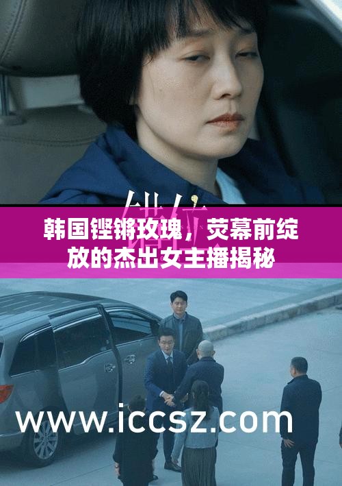 韓國(guó)鏗鏘玫瑰，熒幕前綻放的杰出女主播揭秘