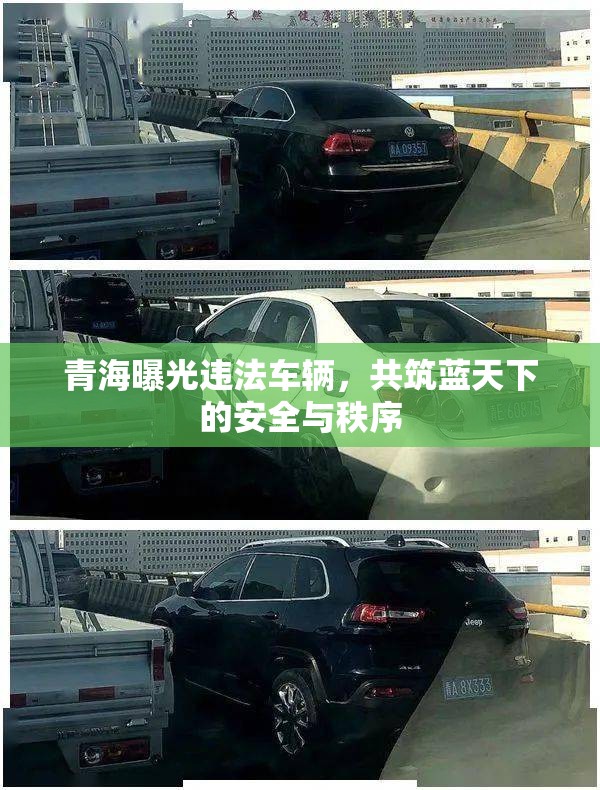 青海曝光違法車輛，共筑藍(lán)天下的安全與秩序