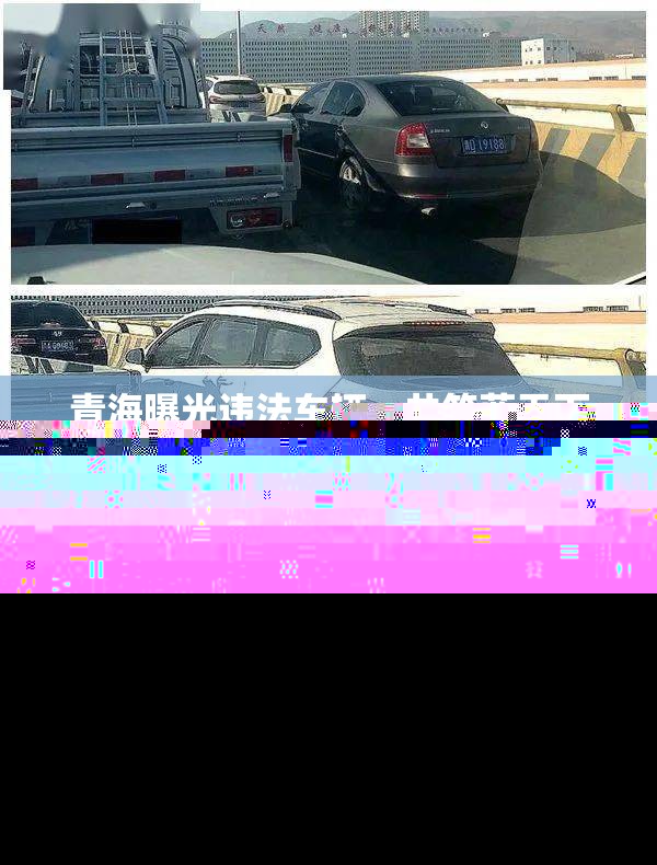 青海曝光違法車輛，共筑藍(lán)天下的安全與秩序
