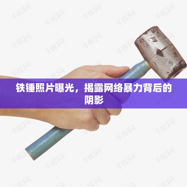 鐵錘照片曝光，揭露網(wǎng)絡(luò)暴力背后的陰影