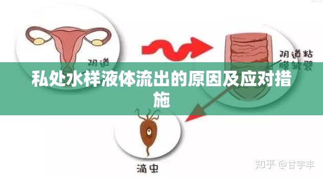 私處水樣液體流出的原因及應對措施