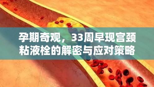 孕期奇觀，33周早現(xiàn)宮頸粘液栓的解密與應(yīng)對(duì)策略