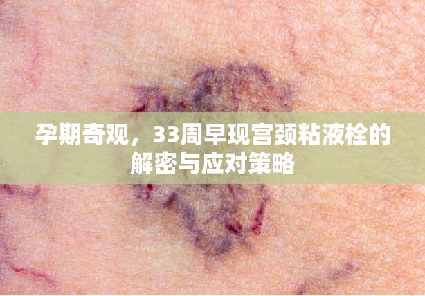 孕期奇觀，33周早現(xiàn)宮頸粘液栓的解密與應(yīng)對(duì)策略