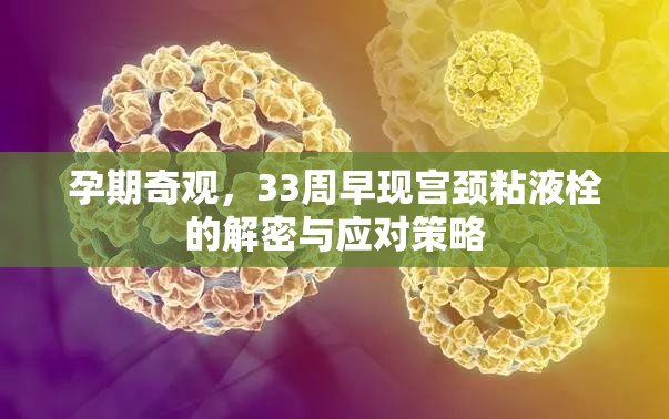 孕期奇觀，33周早現(xiàn)宮頸粘液栓的解密與應(yīng)對(duì)策略