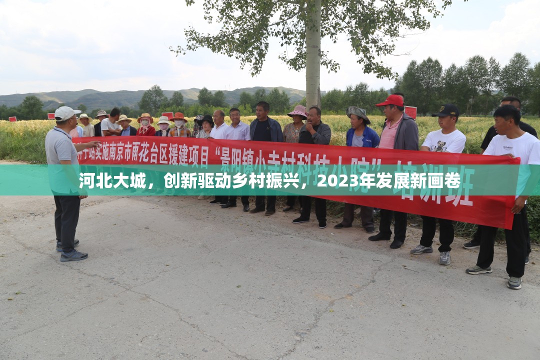 河北大城，創(chuàng)新驅(qū)動鄉(xiāng)村振興，2023年發(fā)展新畫卷