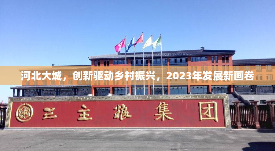 河北大城，創(chuàng)新驅(qū)動鄉(xiāng)村振興，2023年發(fā)展新畫卷